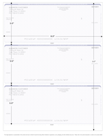 Teal Safety 3 Per Page Laser Checks | L3C-AS