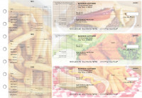 American Cuisine General Itemized Invoice Business Checks | BU3-CDS01-GII