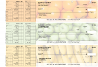 Fruit Payroll Designer Business Checks  | BU3-CDS03-PAY