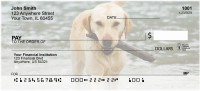 Yellow Labradors Personal Checks | DOG-10