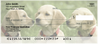 Golden Retriever Personal Checks | DOG-39