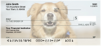 Golden Retriever Personal Checks | DOG-39