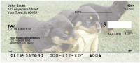 Rottweiler Personal Checks | DOG-40