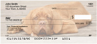 Majestic Mastiff Personal Checks | DOG-41