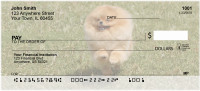 Pomeranian Personal Checks | DOG-42