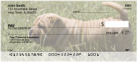 Shar Pei Personal Checks | DOG-48
