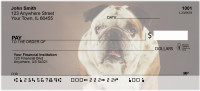 Cute English Bulldog Personal Checks | DOG-50