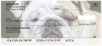 Cute English Bulldog Personal Checks | DOG-50