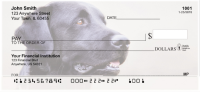 Brilliant Black Labs Personal Checks | DOG-52