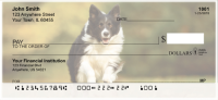 Bouncing Border Collie Personal Checks | DOG-68