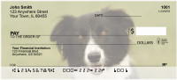 Bouncing Border Collie Personal Checks | DOG-68