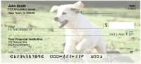 Yellow Lab Puppies Personal Checks | DOG-72