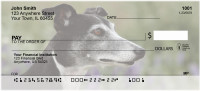 Wily Whippets Checks | DOG-75
