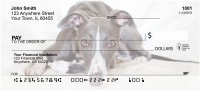 Wily Whippets Checks | DOG-75