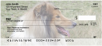 Collies Out and About Personal Checks | DOG-76