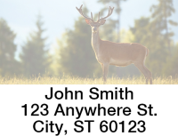 Deer in the Wild Address Labels  | LBANIC-55