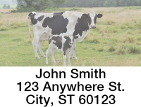 Adorable Calves Address Labels  | LBANJC-30