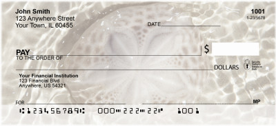 Sea Shells Personal Checks | CCS-29