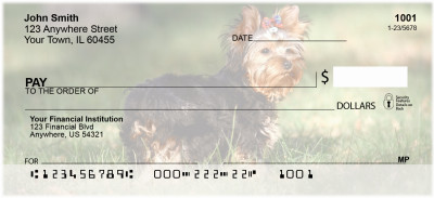 Yorkshire Terriers Personal Checks | DOG-24
