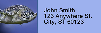Sea Turtles Under Water Rectangle Address Labels | LRRANK-72