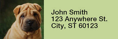 Shar Pei Rectangle Address Labels | LRRDOG-48