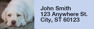 Yellow Lab Puppies Rectangle Address Labels | LRRDOG-72