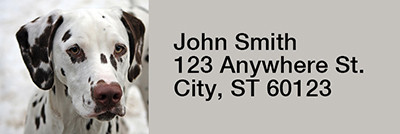 Dalmatians Rectangle Address Labels | LRRDOG-74