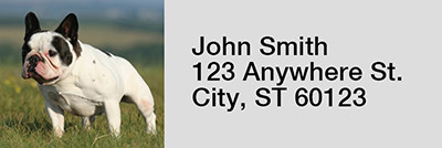 French Bulldog Rectangle Address Labels | LRRDOG-80