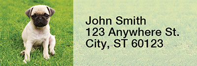 Pugs At The Park Rectangle Address Labels | LRRDOG-84