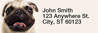 Pug Portraits Rectangle Address Labels | LRRDOG-85