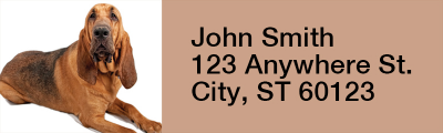 Blood Hound Rectangle Address Labels | LRRDOG-94