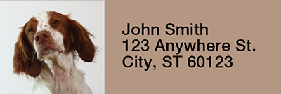 Brittany Spaniels Rectangle Address Labels | LRRDOG-96