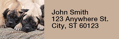 Bullmastiff Rectangle Address Labels | LRRDOG-97