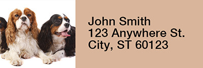 Cavalier Spaniels Rectangle Address Labels | LRRDOG-98