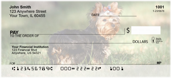 Yorkshire Terriers Personal Checks | DOG-24