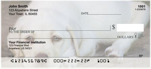 Yellow Lab Puppies Personal Checks | DOG-72