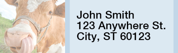 Rural Cow Address Labels  | LBANIC-54