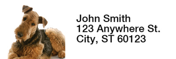 Airedale Terrier Rectangle Address Labels | LRRDOG-89